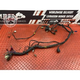 Faisceau électrique principale Yamaha XJR 1200 1996 à 1998