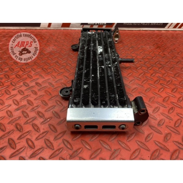 Radiateur d'huile Yamaha XJR 1200 1996 à 1998