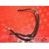 Durite de frein avant 650 SV S 03 04 05 06 07 08 09
