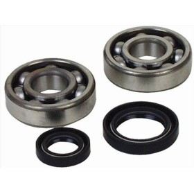 Kit roulement + spi de vilebrequin All Balls Kawasaki KFX80