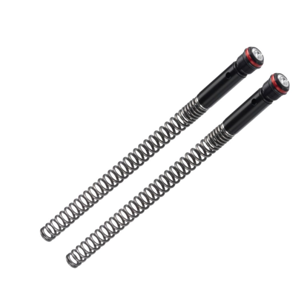 Kit ressorts BITUBO type KB01 sans huile