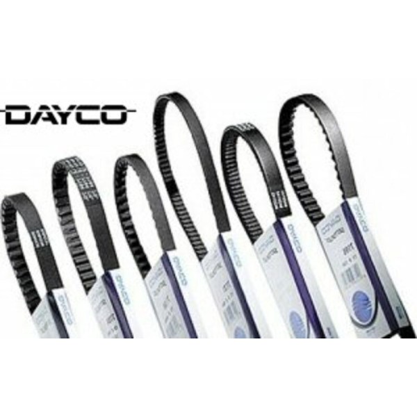 Courroie de distribution DAYCO standard