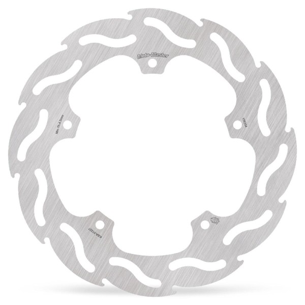 BRAKE DISC FLAME REAR