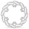 BRAKE DISC FLAME REAR
