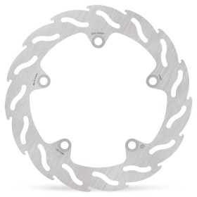 BRAKE DISC FLAME REAR