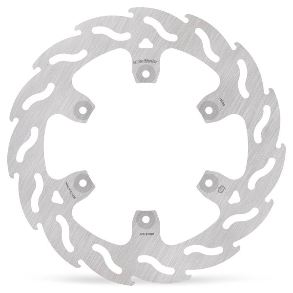 BRAKE DISC FLAME REAR