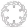 BRAKE DISC FLAME REAR