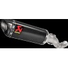 MUFFLER CF RSV4/TUONO 21