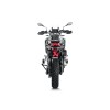 MUFFLER TI/CF BK F900GS