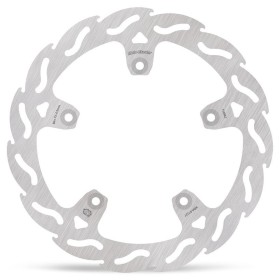 BRAKE DISC FLAME REAR