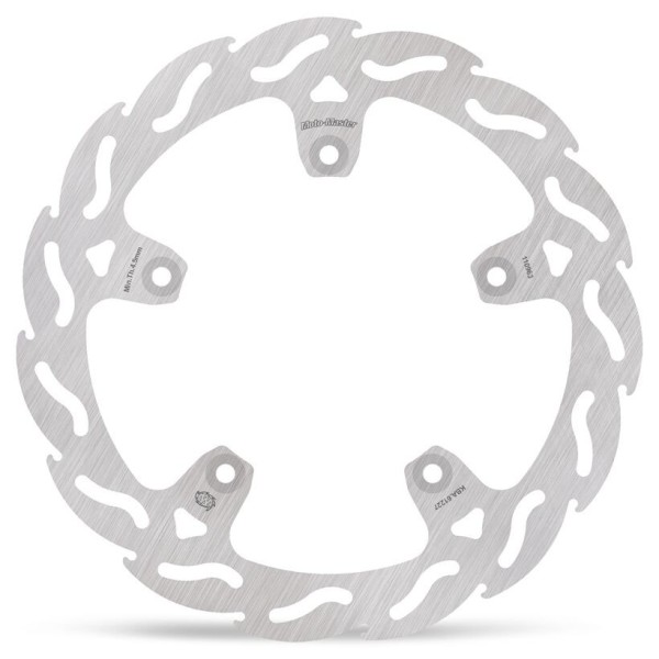 BRAKE DISC FLAME REAR