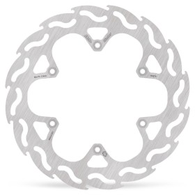 BRAKE DISC FLAME REAR