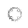 BRAKE DISC FLAME REAR