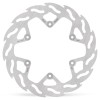 BRAKE DISC FLAME REAR
