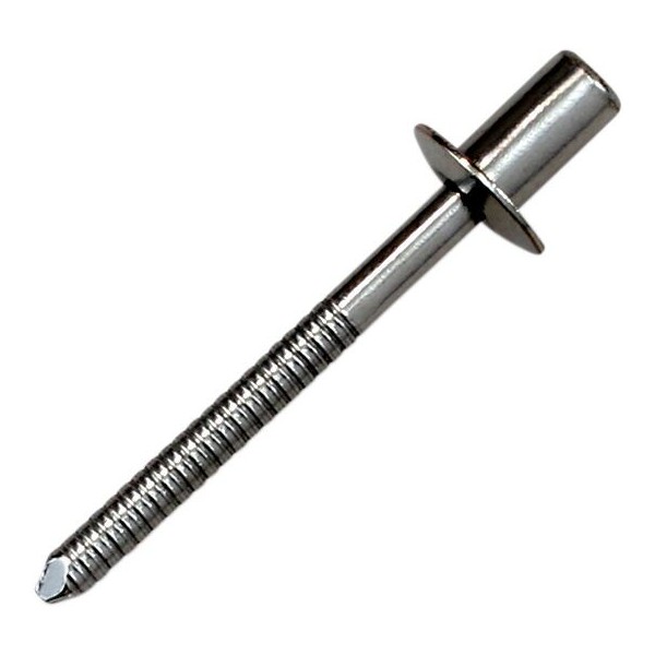 RIVET SS D4 8x8 CLEAR