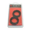 FORK SEAL RSA 33X46X11