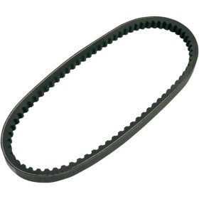 BELT TRAN 20X10X800