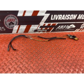 Clignotants arriere adaptable 