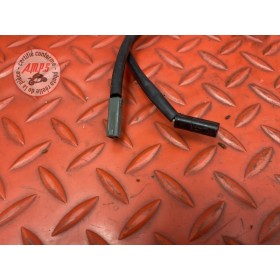 Clignotants arriere adaptable 