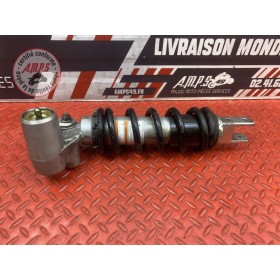 Amortisseur arrière 