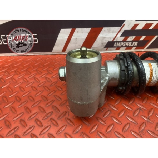 Amortisseur arrière 