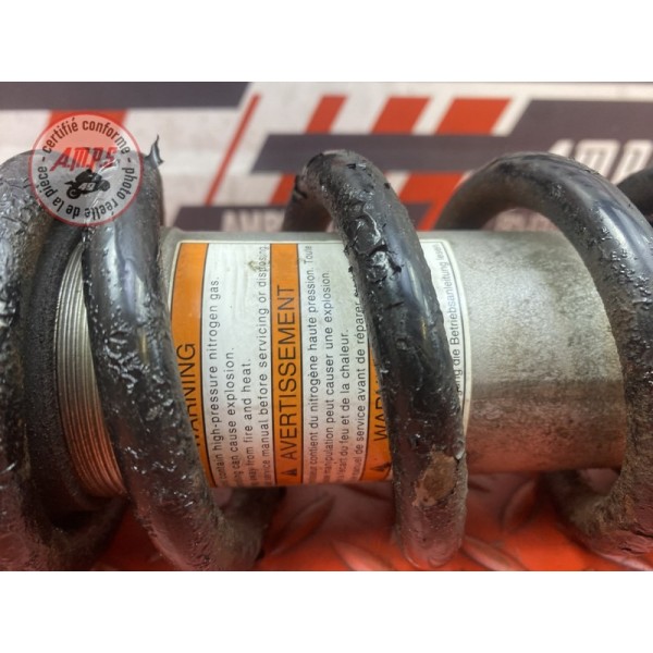 Amortisseur arrière 