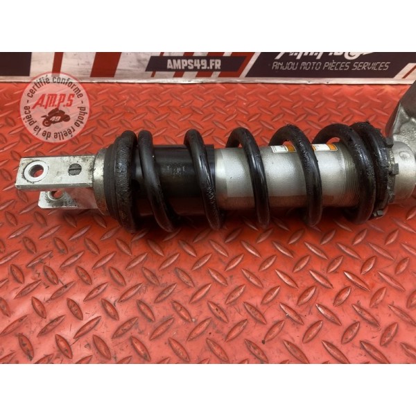 Amortisseur arrière 