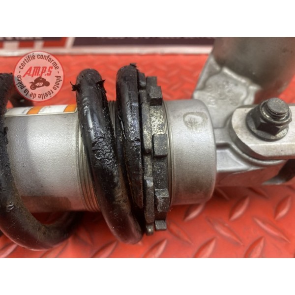 Amortisseur arrière 