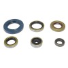 ENGINE OIL SEALS KIT
