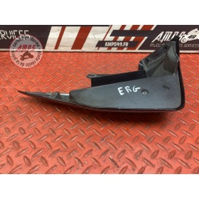 Ecope de radiateur gauche 