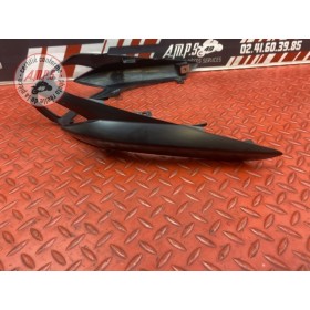 Entourage de feux arrière 