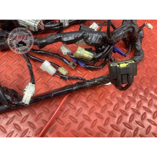 Faisceau électrique principale Yamaha FZ1 1000 2006 à 2015