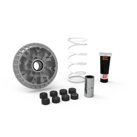 MALOSSI Variateur MALOSSI Multivar 2000