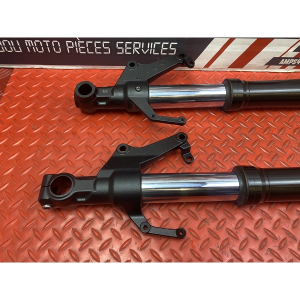 Paire de tube de fourche Yamaha FZ1 1000 2006 à 2015