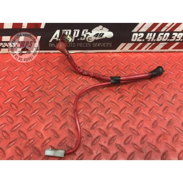 Cable sortie batterie Yamaha FJR 1300 ABS 2006 à 2012