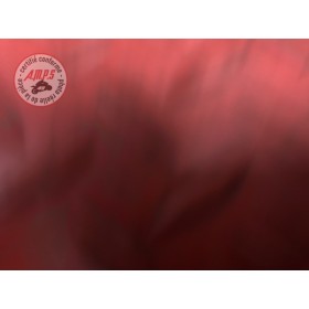 Contacteur de frein avant 