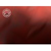 Contacteur de frein avant Yamaha FJR 1300 ABS 2006 à 2012