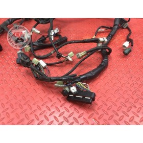 Faisceau électrique principale 