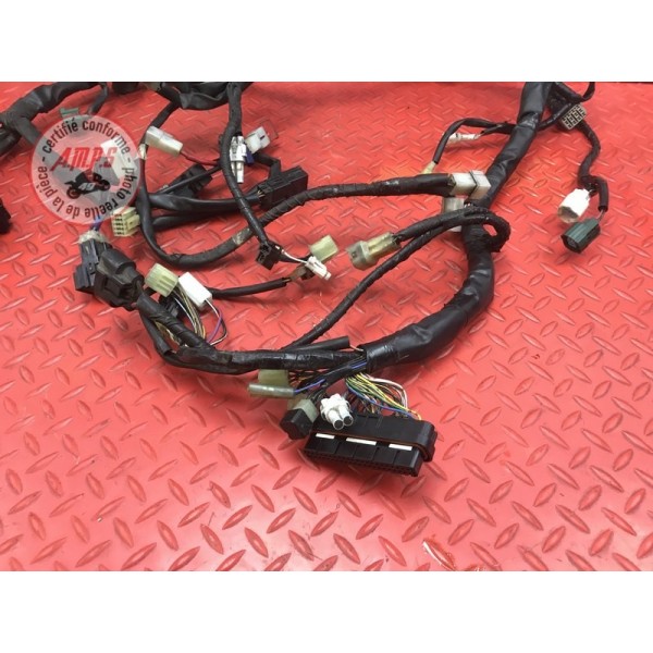 Faisceau électrique principale Yamaha FJR 1300 ABS 2006 à 2012
