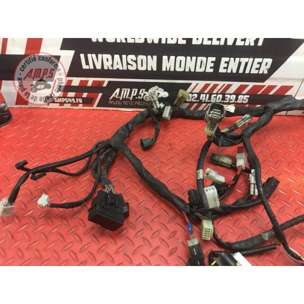 Faisceau électrique principale Yamaha FJR 1300 ABS 2006 à 2012