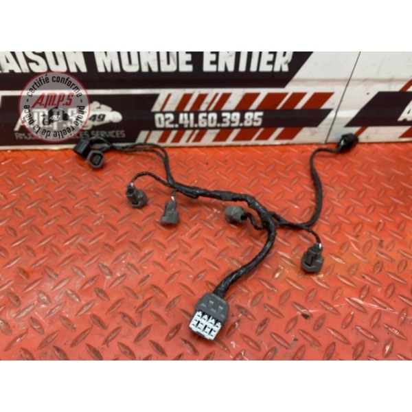 Faisceau d'injection Kawasaki Z750 2004 à 2006