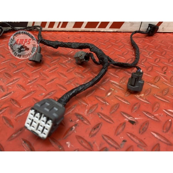 Faisceau d'injection Kawasaki Z750 2004 à 2006