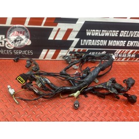 Faisceau électrique principale 