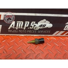 Sonde de température d'eau