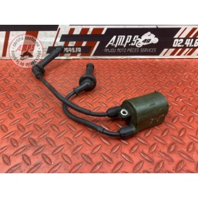 Bobine d'allumage 1-4 