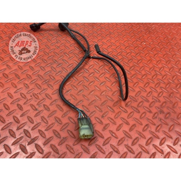 Faisceau moteur Honda CBF 600 S 2004 à 2007