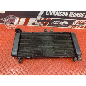 Radiateur d'eau Honda CBF 600 S 2004 à 2007
