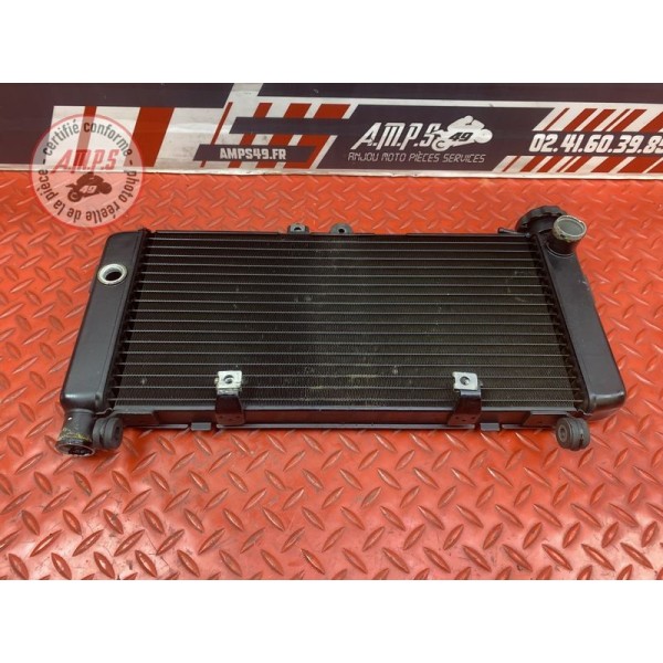 Radiateur d'eau Honda CBF 600 S 2004 à 2007
