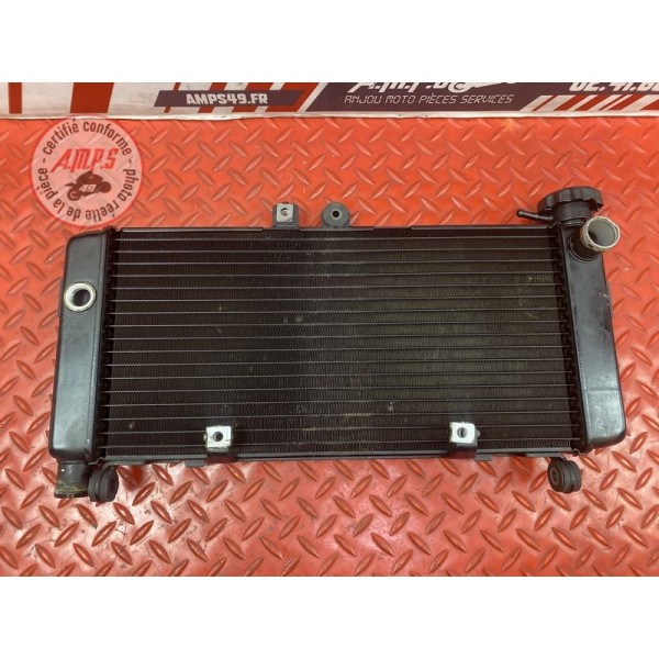 Radiateur d'eau Honda CBF 600 S 2004 à 2007