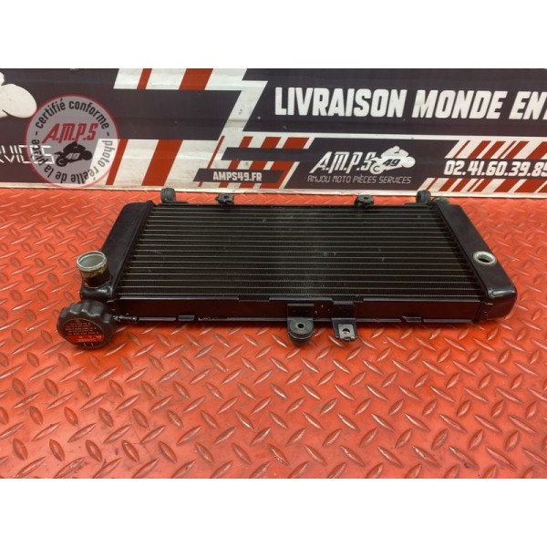 Radiateur d'eau Honda CBF 600 S 2004 à 2007